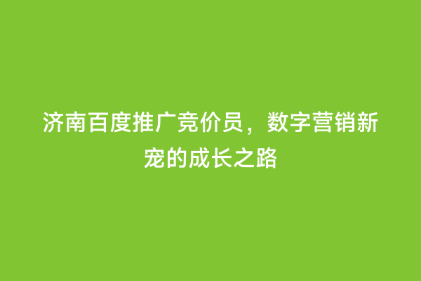 济南百度推广竞价员，数字营销新宠的成长之路