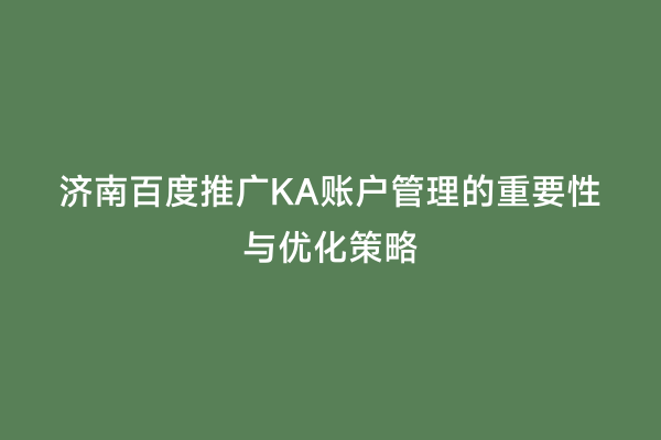 济南百度推广KA账户管理的重要性与优化策略