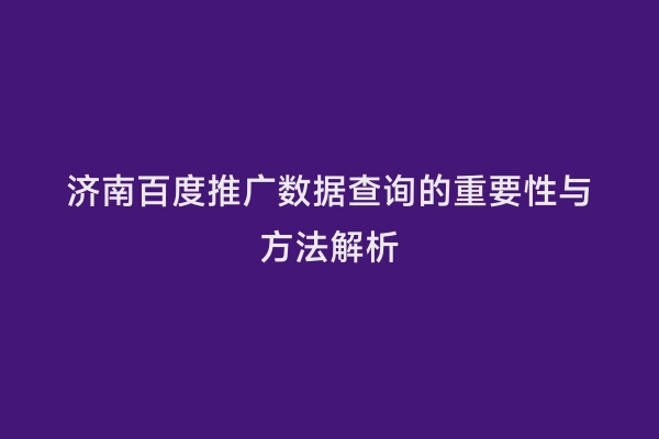 济南百度推广数据查询的重要性与方法解析